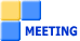 MEETING